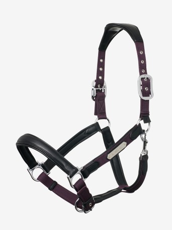 3 Sizes Ontariouk Horse Printed Headcollar and Lead Rope RR Nubuck Padding 