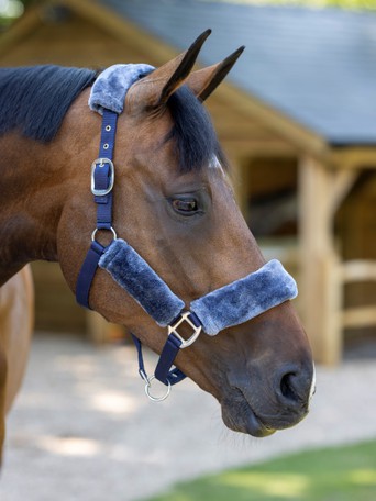 Horse Protack Comfort Headcollar Adjustable Purple/lilac Cob 